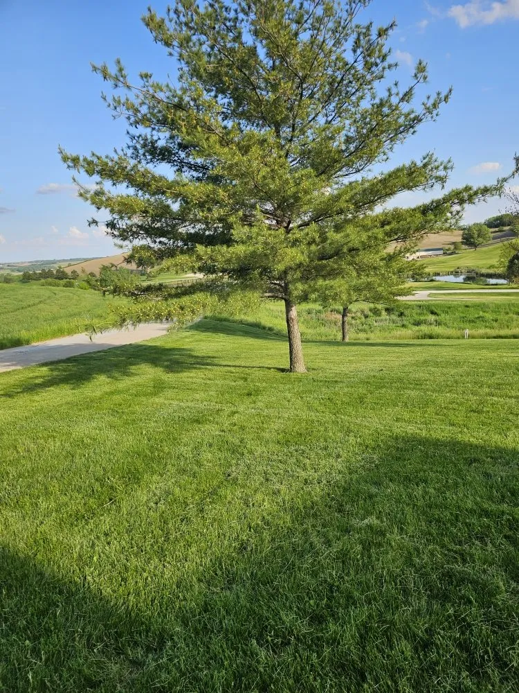 Top-rated landscape design for year-round maintenance in Missouri Valley, IA by Armstrong Lawn and Services