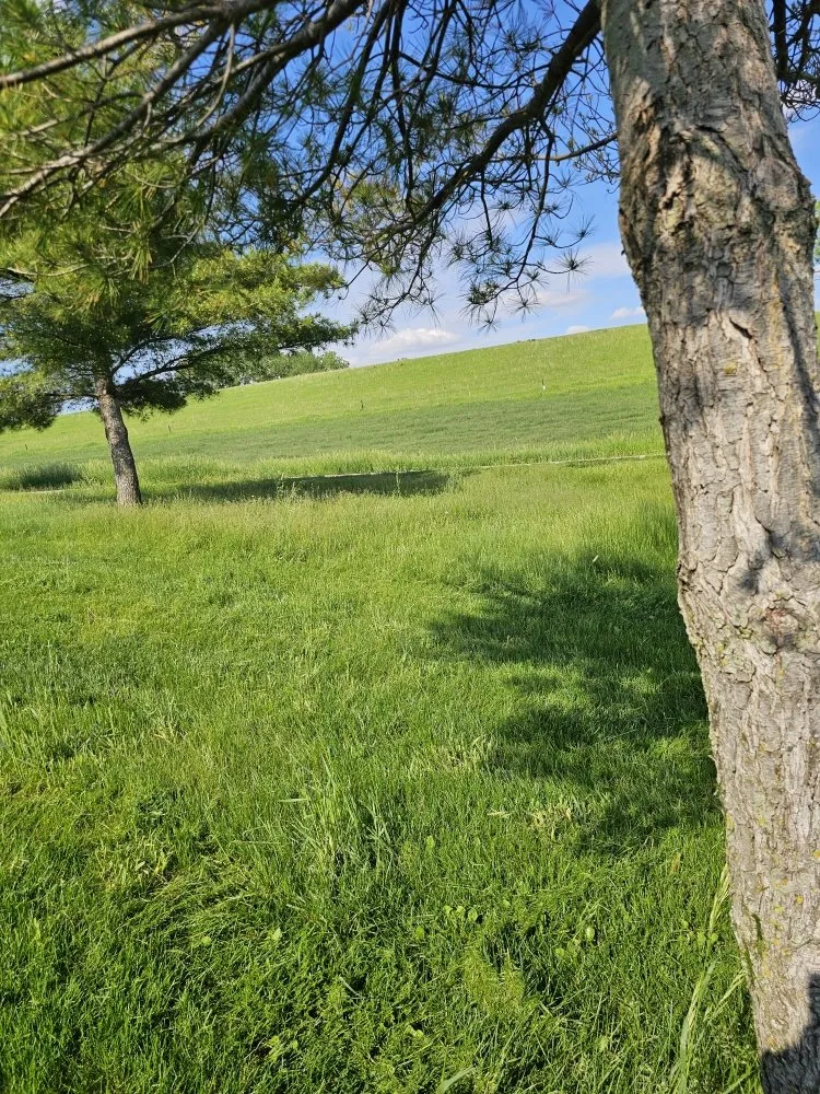 Top-rated residential landscaping experts serving Missouri Valley, IA - Armstrong Lawn and Services