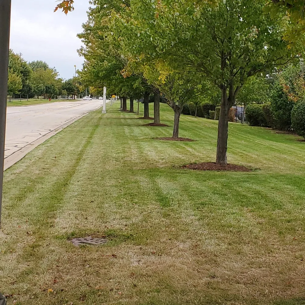 Trusted lawn mowing service for homes across N Aurora, IL - Armstrong Lawn Care Services