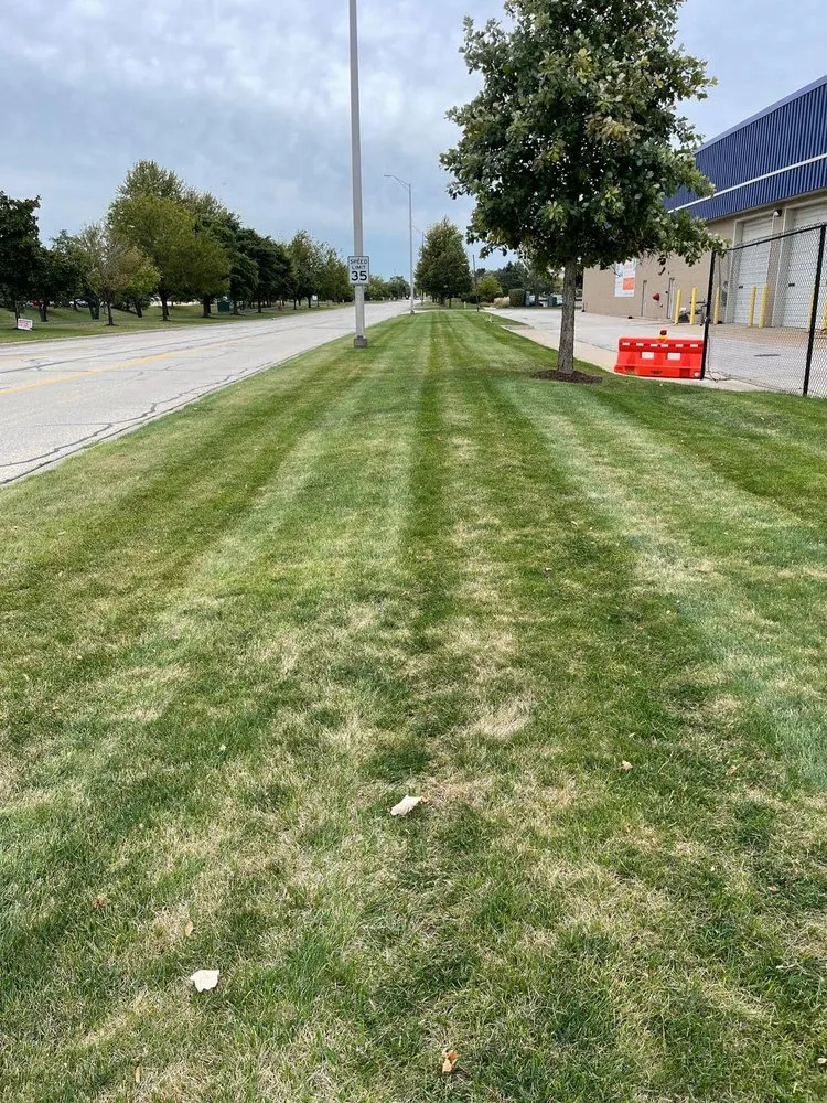 Trusted yard cleanup service in N Aurora, IL by Armstrong Lawn Care Services