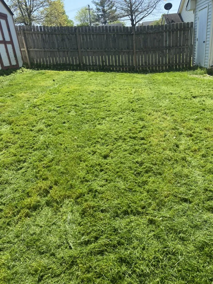 Affordable residential landscaping for beautiful yards across Berea, KY - Armstrong Lawn Service