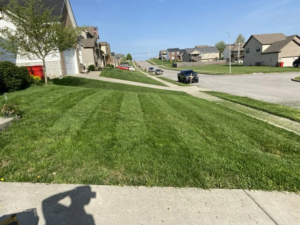 Affordable lawn mowing service experts serving Berea, KY - Armstrong Lawn Service