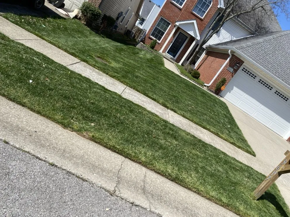 Top-rated landscape design in Berea, KY by Armstrong Lawn Service