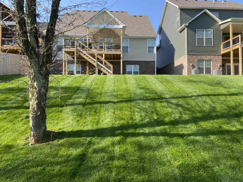 Top-rated yard maintenance experts serving Berea, KY - Armstrong Lawn Service