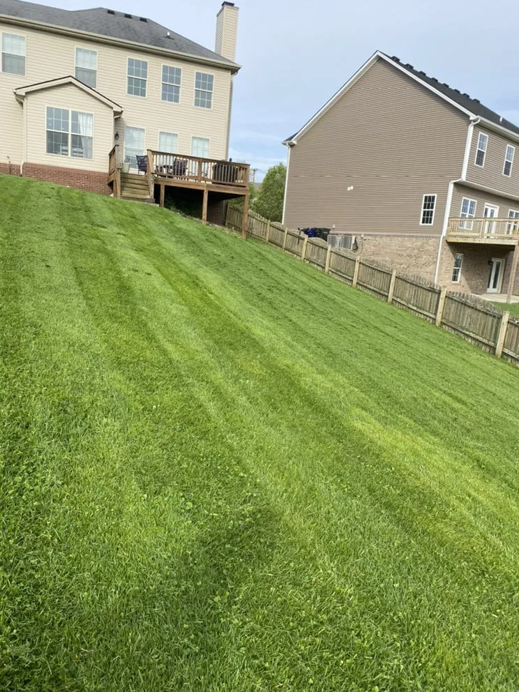 Professional landscaping services for beautiful yards across Berea, KY - Armstrong Lawn Service