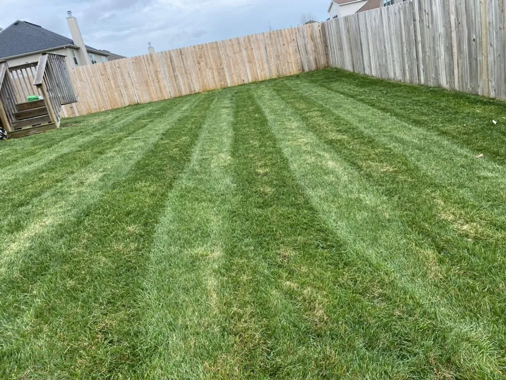 Trusted landscape design for beautiful yards across Berea, KY - Armstrong Lawn Service