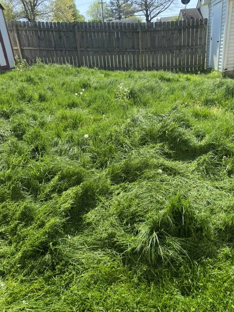 Custom landscape installation for homes in Berea, KY by Armstrong Lawn Service