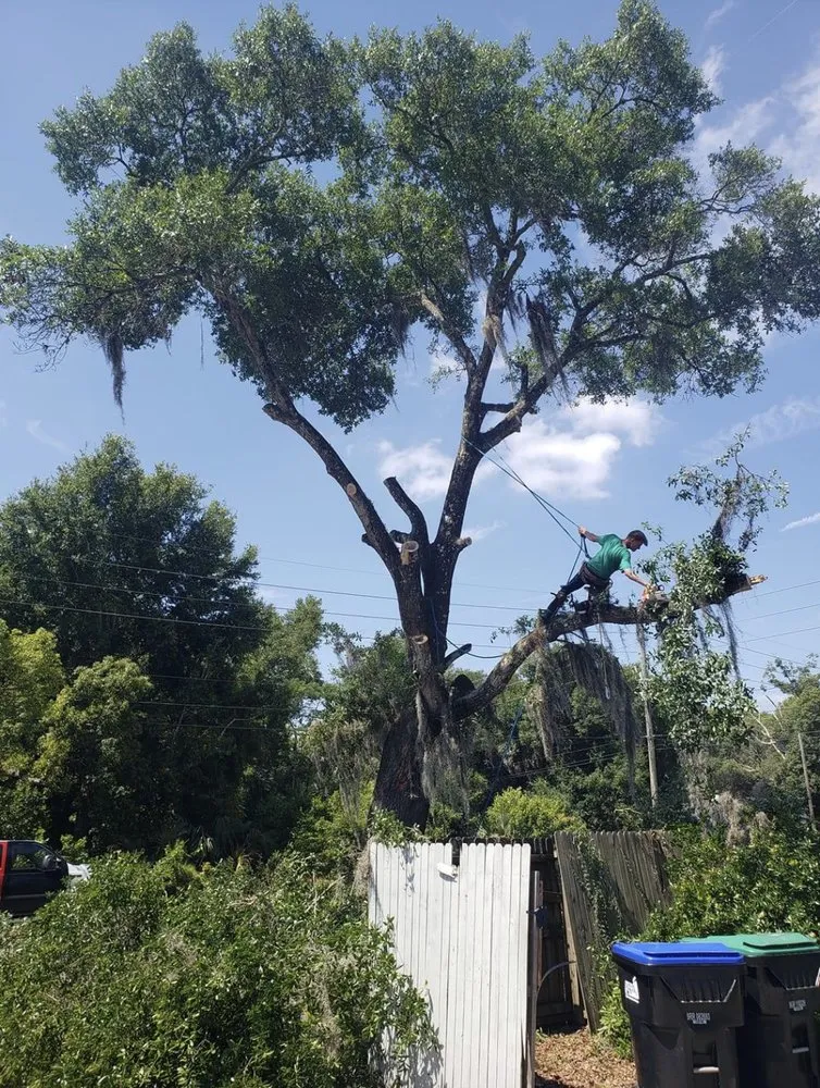 Professional yard cleanup service in Altamonte Springs, FL by Armstrong Tree & Lawn Care