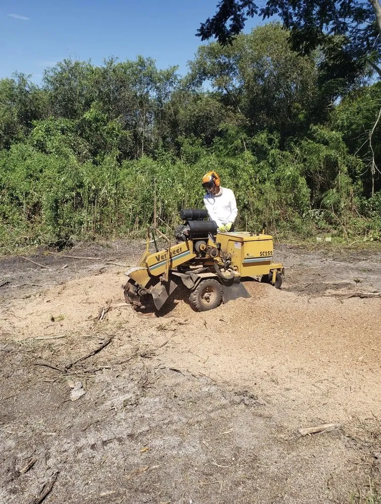 Professional landscape installation in Altamonte Springs, FL by Armstrong Tree & Lawn Care