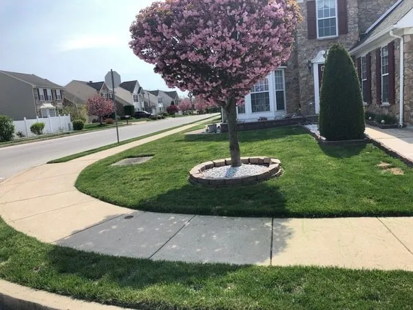 Top-rated landscape installation for homes across Philadelphia, PA - Army Landscaping