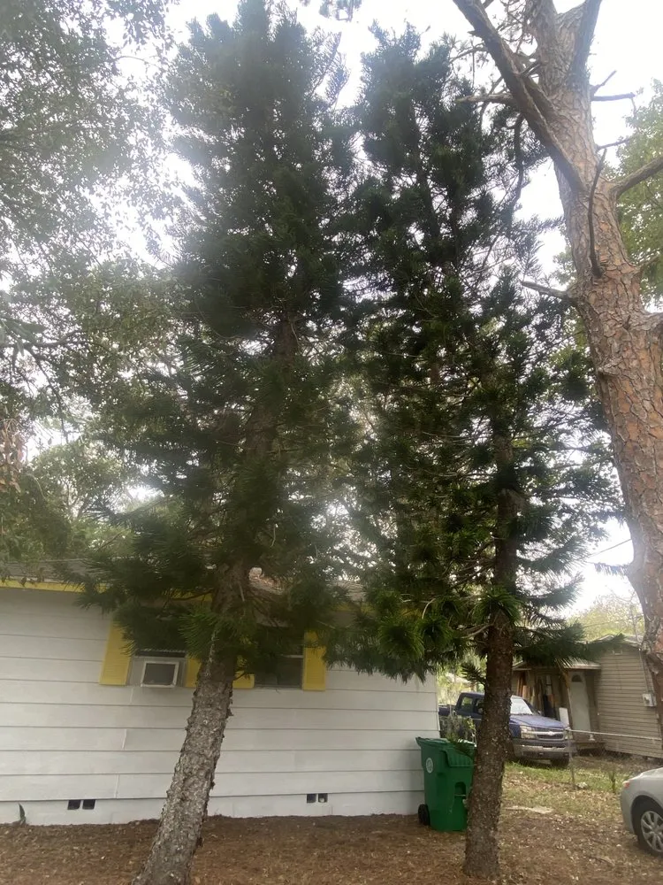 Expert lawn mowing service with custom design in Daytona Beach, FL by Army Of A Two Lawncare Services