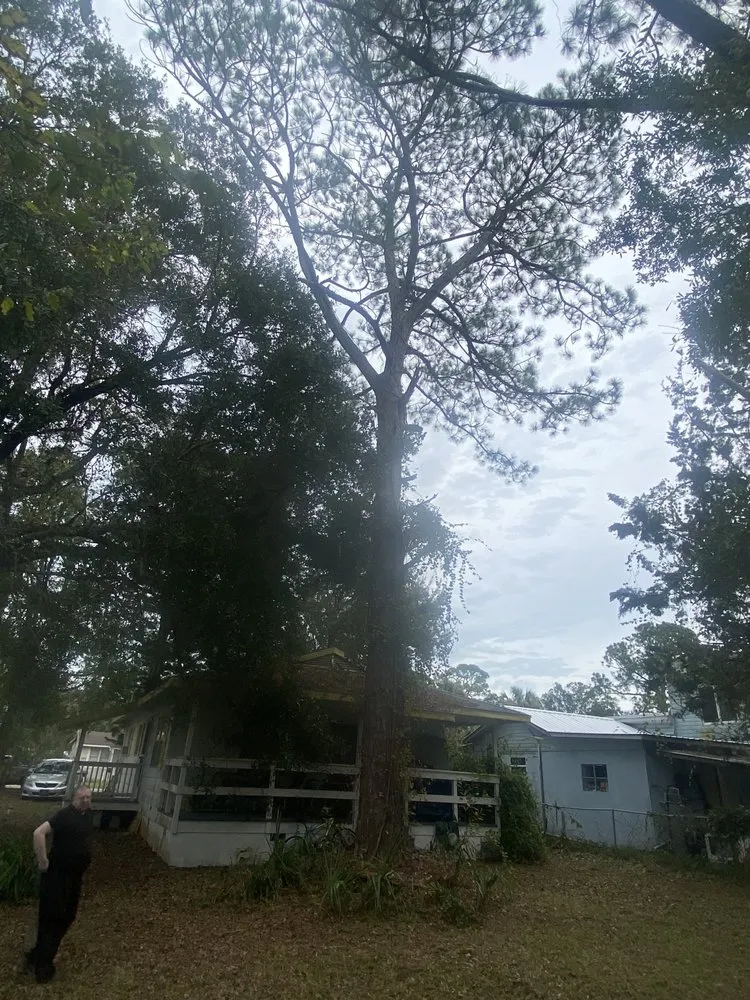 Expert residential landscaping for residential properties across Daytona Beach, FL - Army Of A Two Lawncare Services