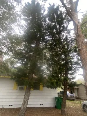 Army Of A Two Lawncare Services Logo