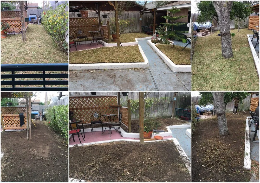 Local yard cleanup service in Corpus Christi, TX by Army Of One Landscaping & Lawncare
