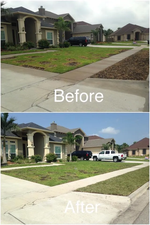 Professional residential landscaping in Corpus Christi, TX by Army Of One Landscaping & Lawncare