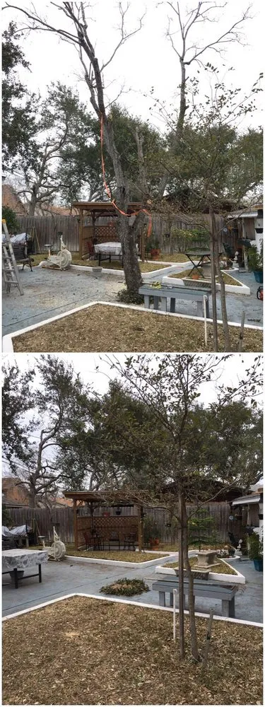 Affordable landscaping services in Corpus Christi, TX by Army Of One Landscaping & Lawncare