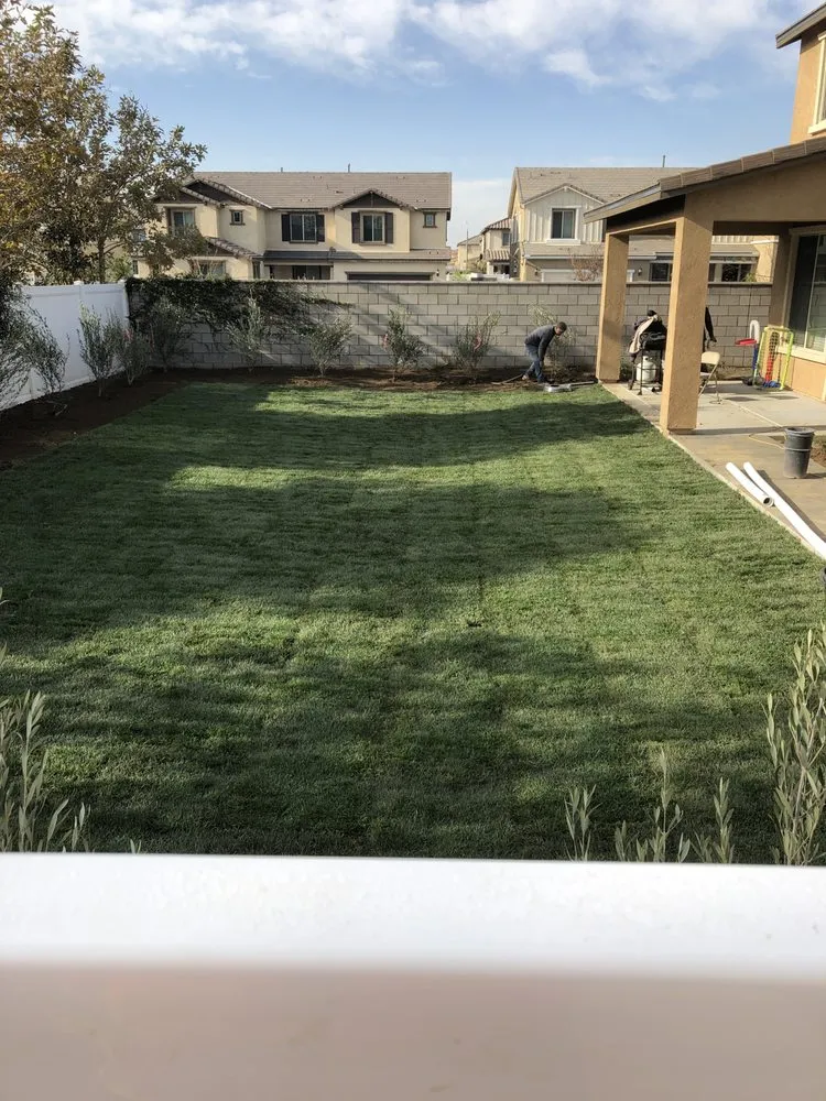 Local lawn care service in Hayward, CA by Army Strong Construction
