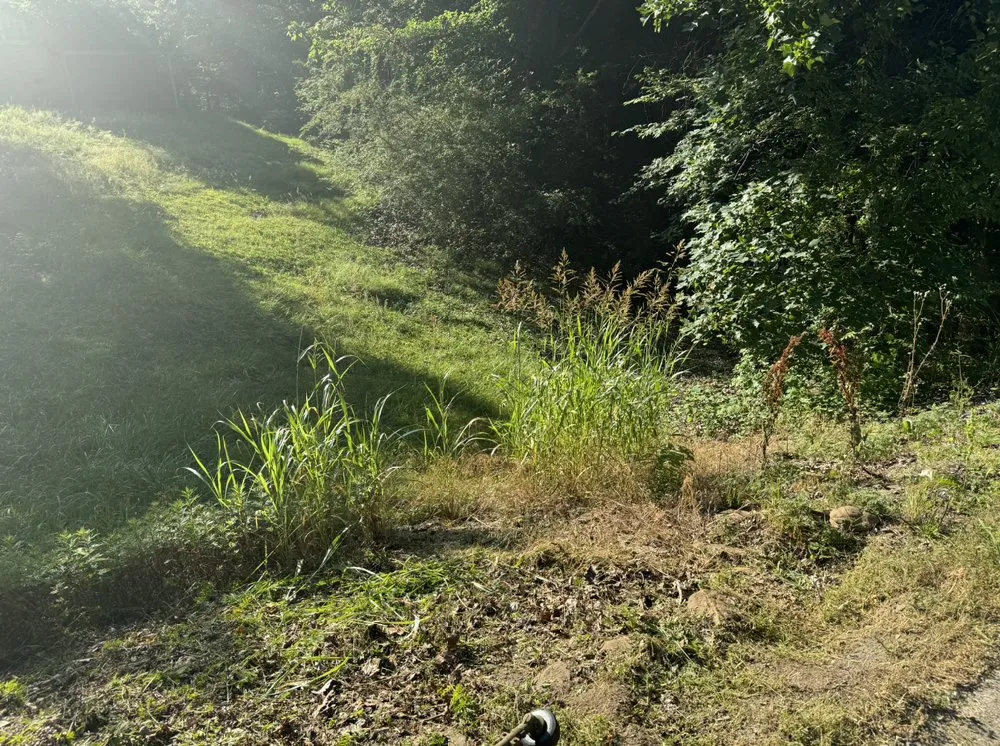 Local residential landscaping with custom design in Rockwood, TN by Army Veteran Mowing & Services