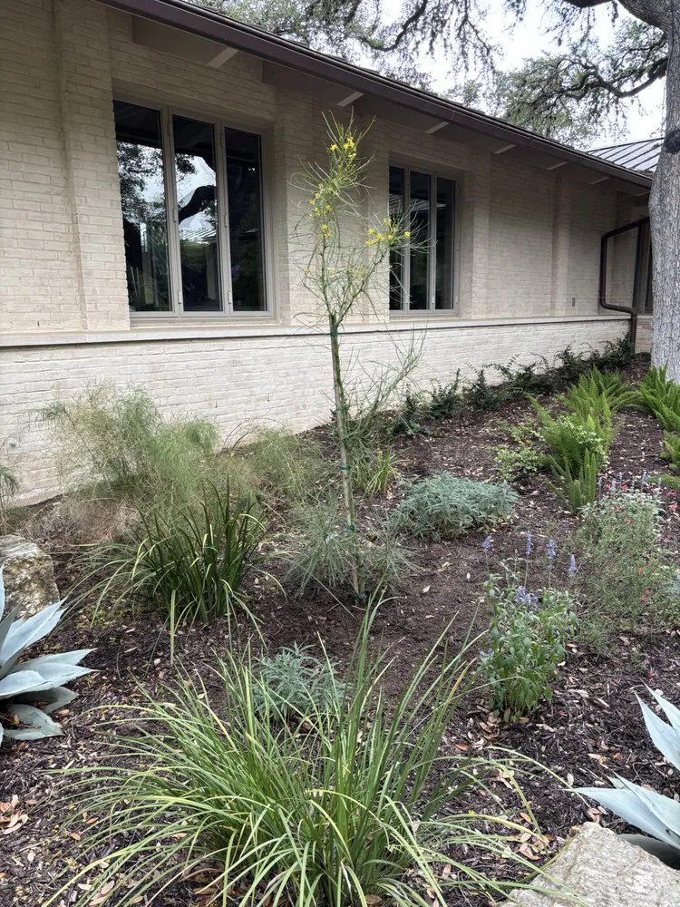 Top-rated landscaping services for beautiful yards across San Antonio, TX - Arnco Landscaping