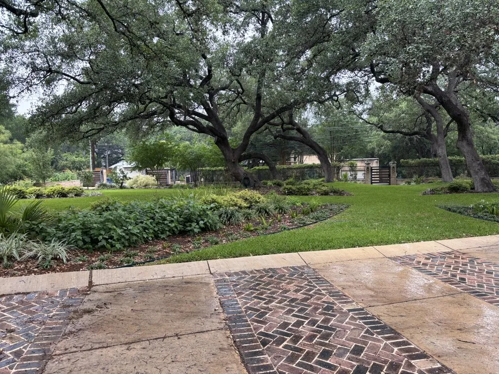 Affordable yard cleanup service in San Antonio, TX by Arnco Landscaping