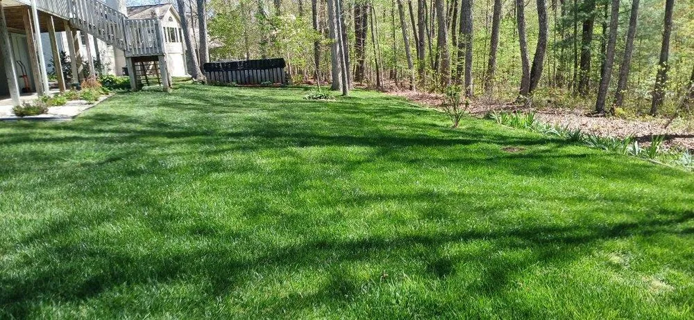 Reliable landscaping services with custom design in Crab Orchard, TN by Arney's Army