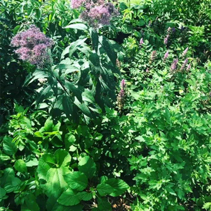 Custom yard maintenance in Hobart, IN by Arnies Lawn Care & snow removal