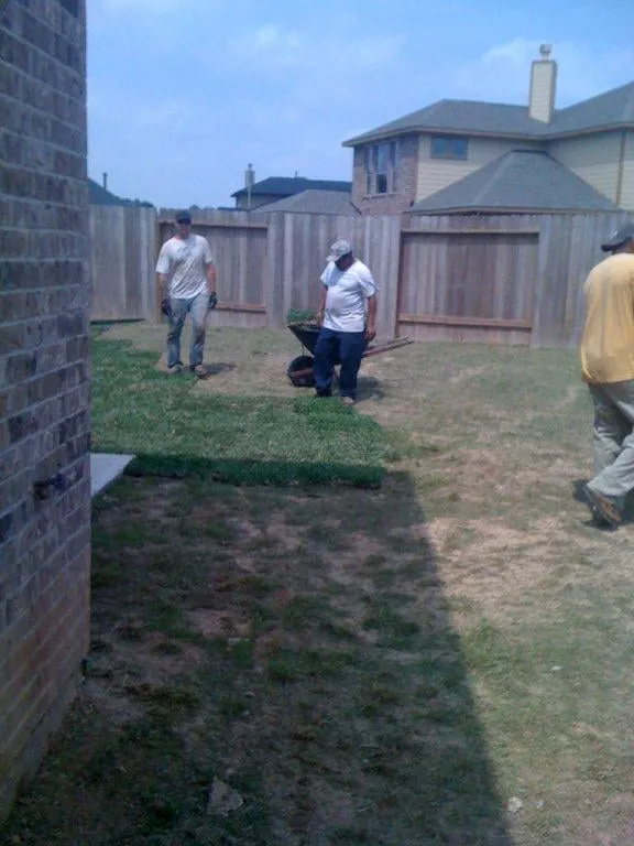 Custom landscape installation in Friendswood, TX - Arning Lawns