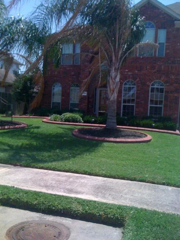 Expert residential landscaping experts serving Friendswood, TX - Arning Lawns