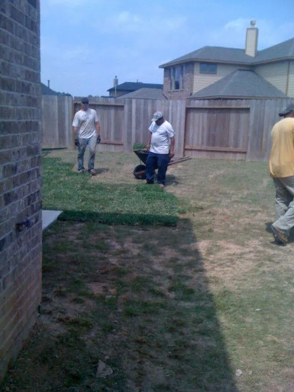 Expert garden landscaping in Friendswood, TX by Arning Lawns