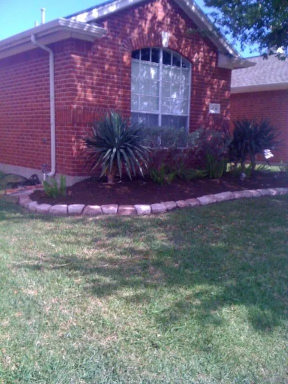 Professional yard cleanup service near you in Friendswood, TX by Arning Lawns