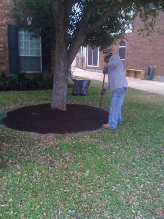 Professional lawn care service for homes across Friendswood, TX - Arning Lawns