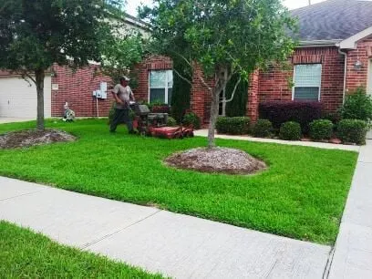 Trusted landscape installation in Friendswood, TX - Arning Lawns