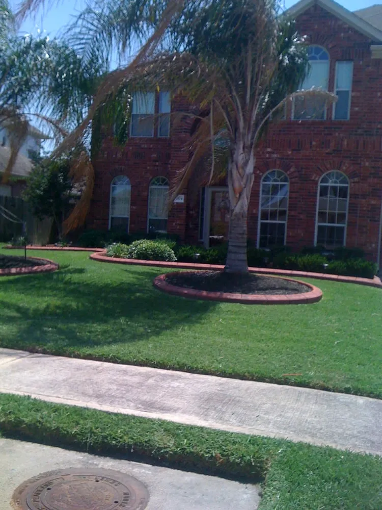 Expert lawn care service in Friendswood, TX by Arning Lawns