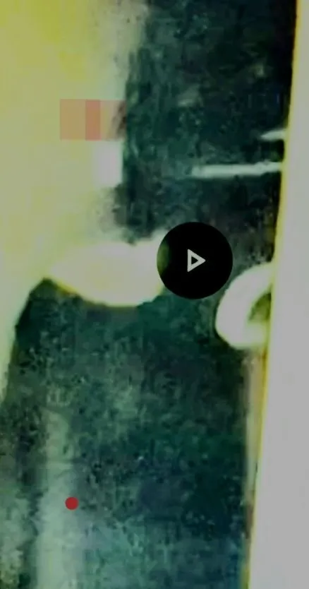 Affordable lawn mowing service in Commerce, GA - Arnold 1 Services