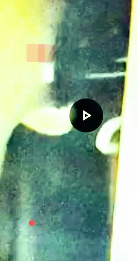 Trusted lawn mowing service with custom design across Commerce, GA - Arnold 1 Services