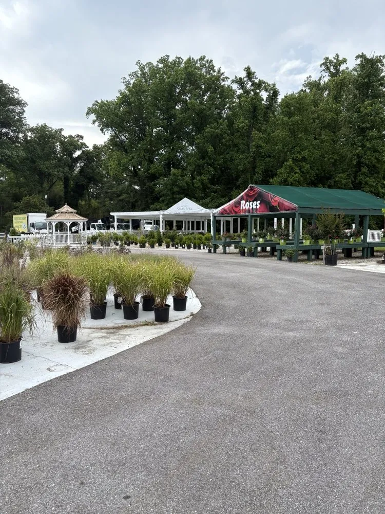 Reliable landscape installation in Arnold, MD - Arnold Farms