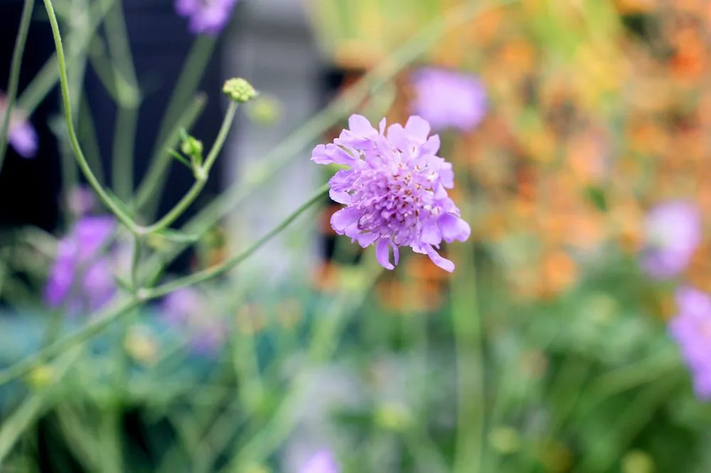 Trusted lawn mowing service in Arnold, MD - Arnold Farms