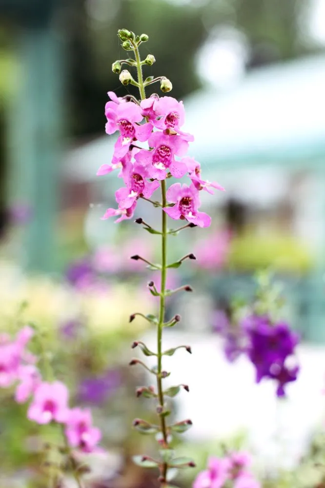 Affordable yard maintenance in Arnold, MD - Arnold Farms