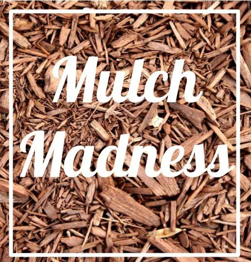 Expert yard maintenance in Arnold, MD by Arnold Farms