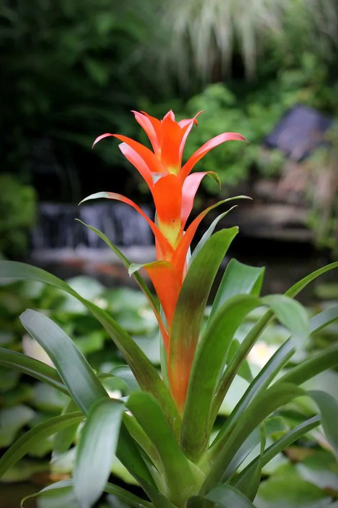 Trusted landscape installation in Arnold, MD by Arnold Farms