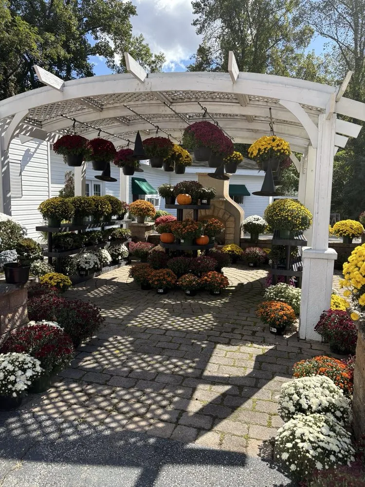 Trusted yard maintenance in Arnold, MD by Arnold Farms