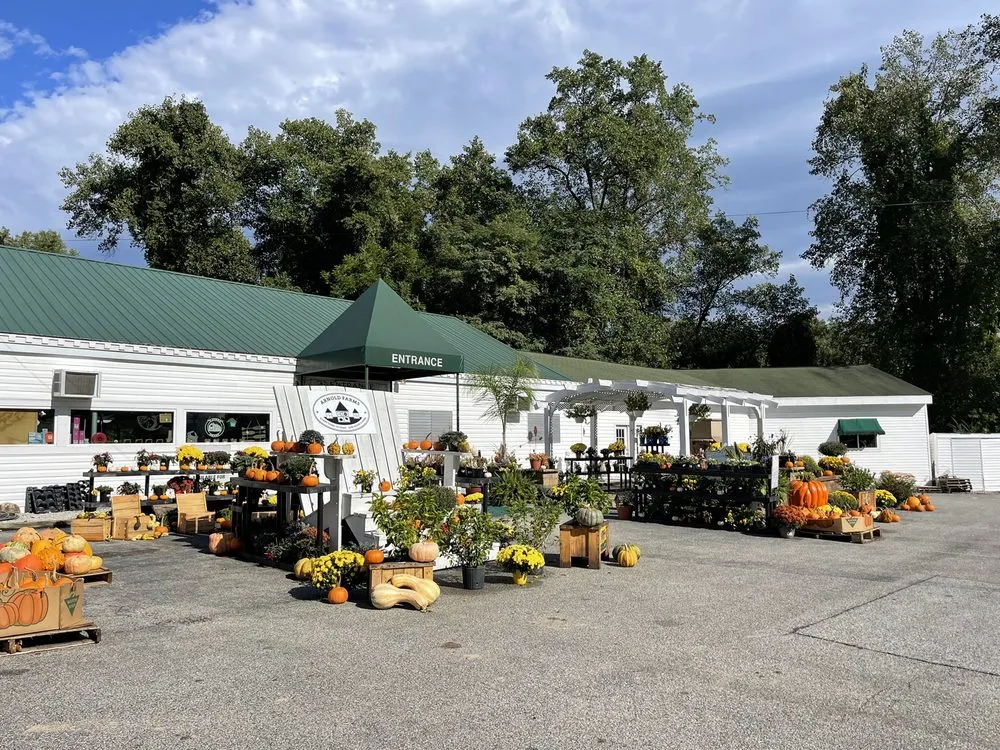 Trusted lawn care service experts serving Arnold, MD - Arnold Farms