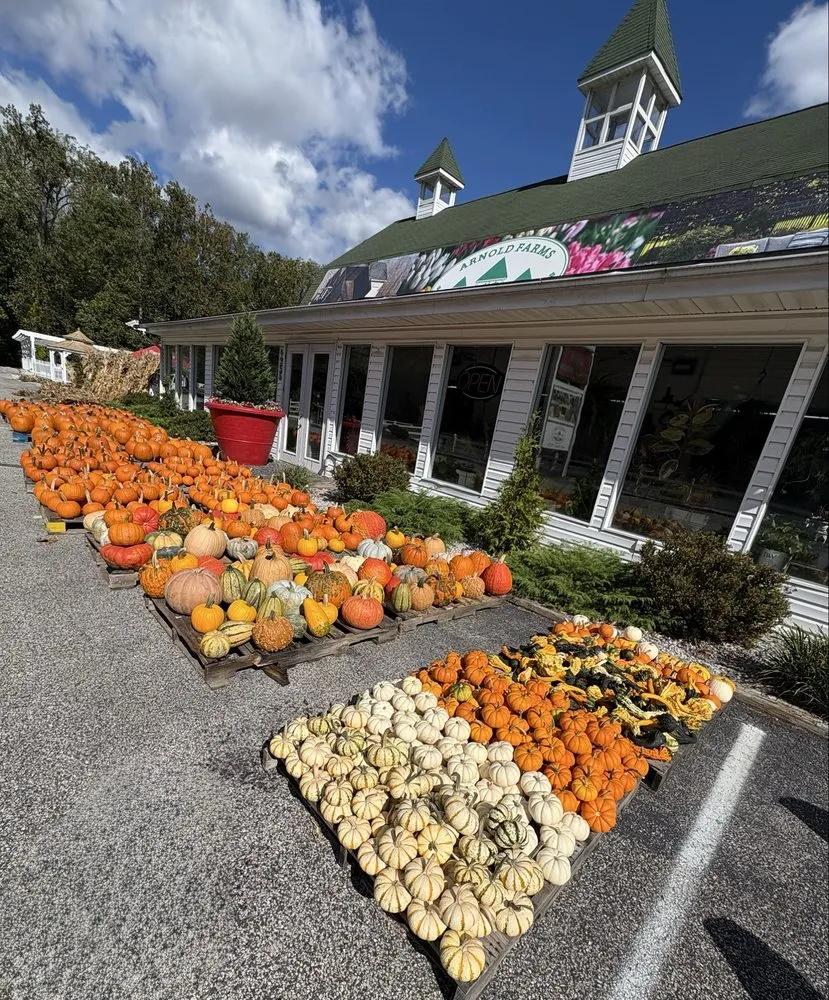 Trusted yard maintenance in Arnold, MD by Arnold Farms
