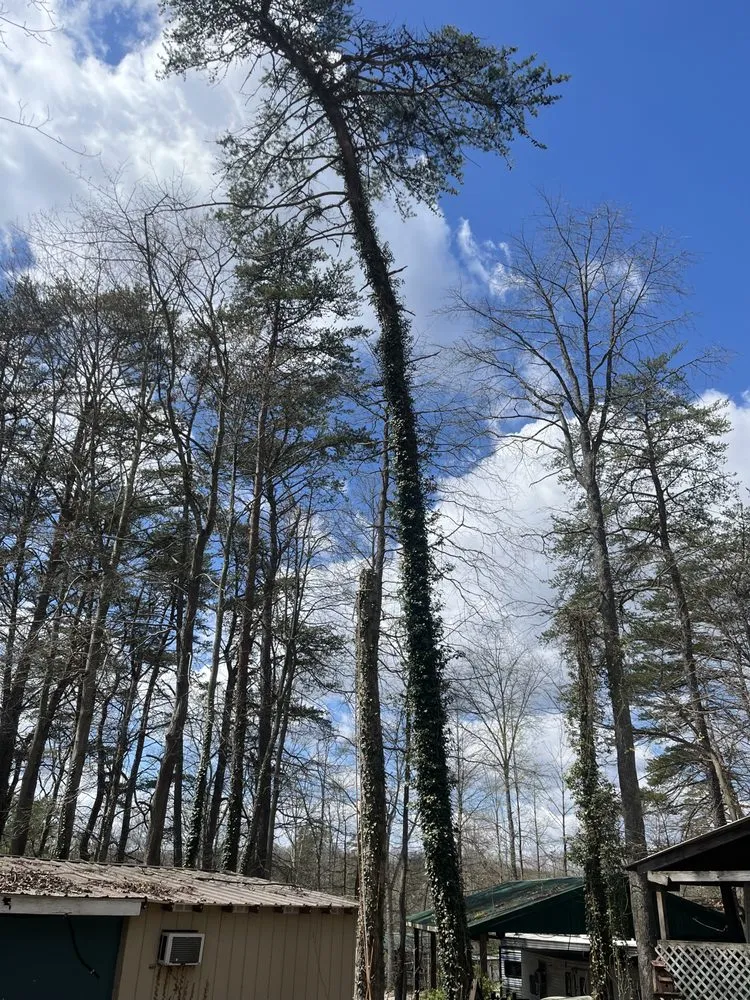 Professional lawn mowing service experts serving Lancaster, OH - Arnold Outdoor Tree and Landscaping