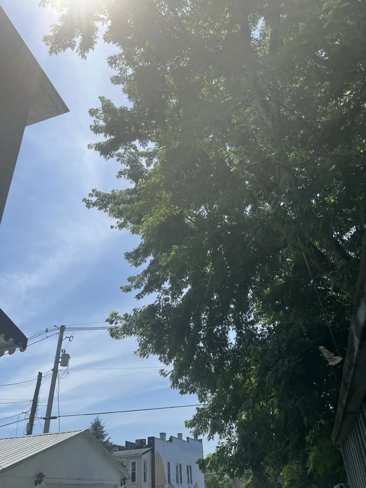 Expert landscaping services in Lancaster, OH by Arnold Outdoor Tree and Landscaping