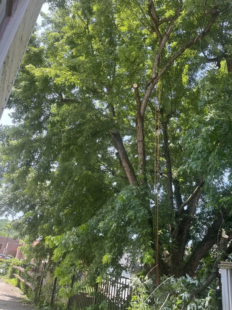 Affordable residential landscaping for residential properties in Lancaster, OH by Arnold Outdoor Tree and Landscaping