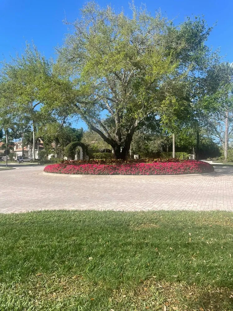 Top-rated landscaping services in Boynton Beach, FL by Arnoldo Nursery and Landscaping