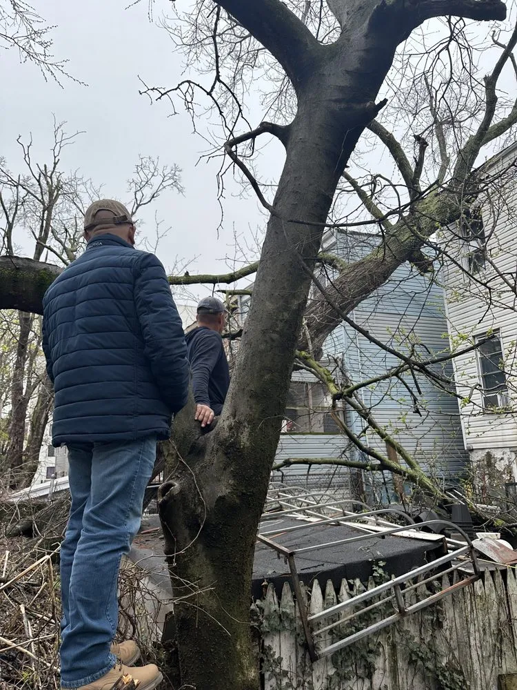 Trusted residential landscaping near you in Fresh Meadows, NY by Arnoldo's Tree Service