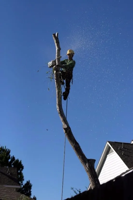 Local landscaping services in Fresh Meadows, NY - Arnoldo's Tree Service