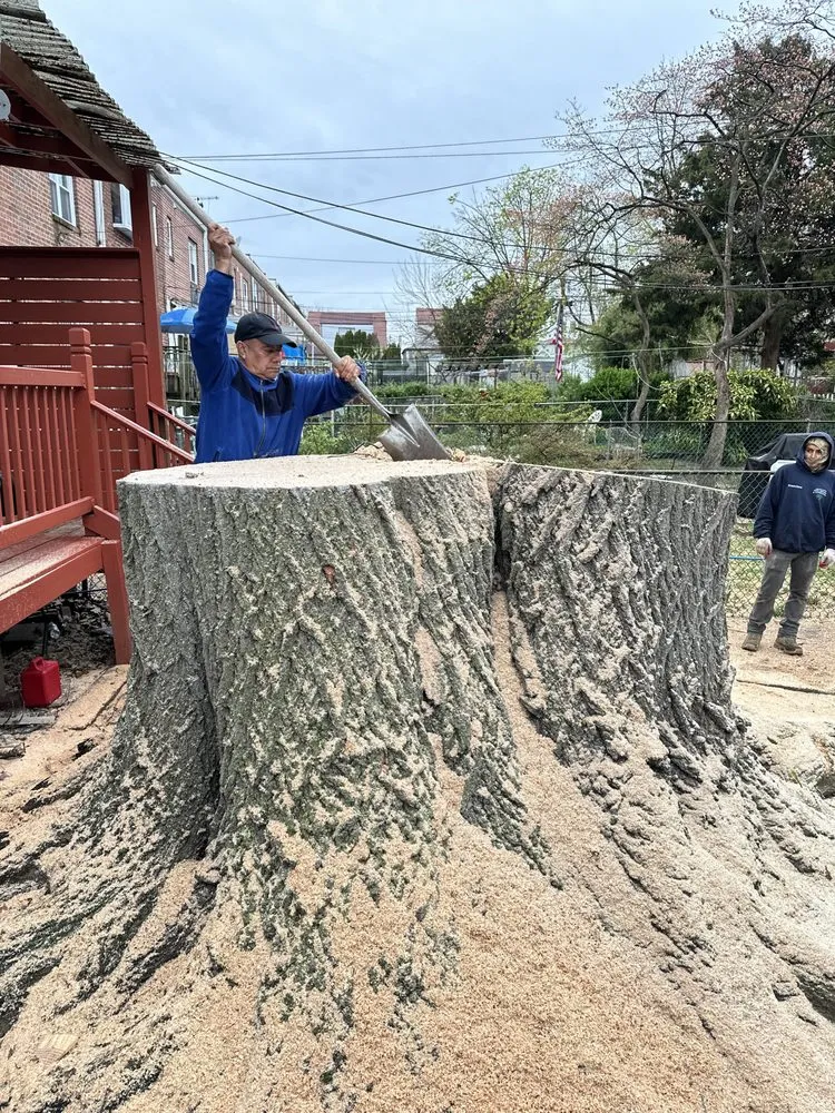 Top-rated landscape design in Fresh Meadows, NY - Arnoldo's Tree Service